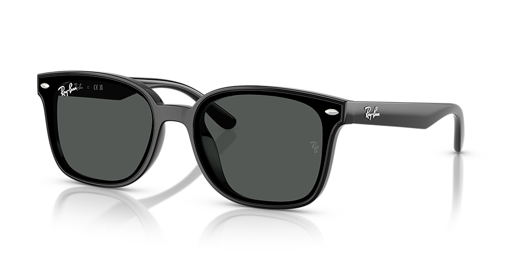 W*E様 Ray-Ban RB4461D サングラス Ray-Ban RB4461D L (64 - 17) with Grey lenses and Black frame