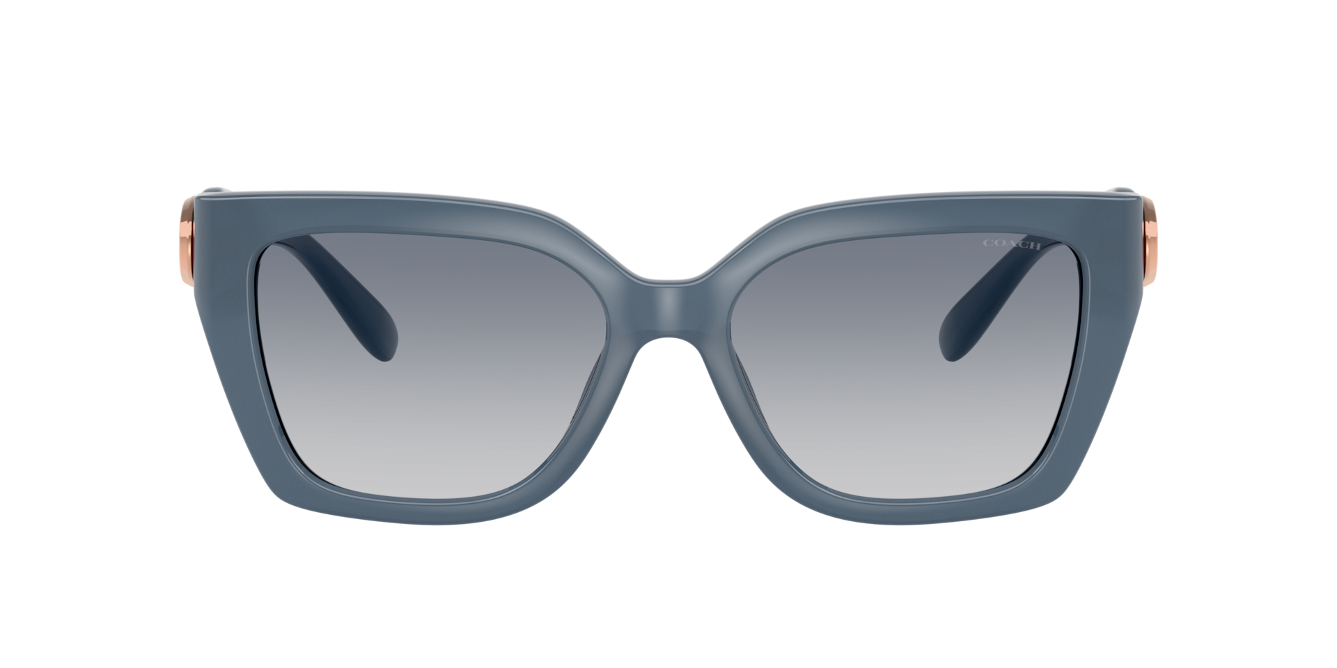 Coach CW195 M (55 - 17) with Blue lenses and Blue frame | Sunglass