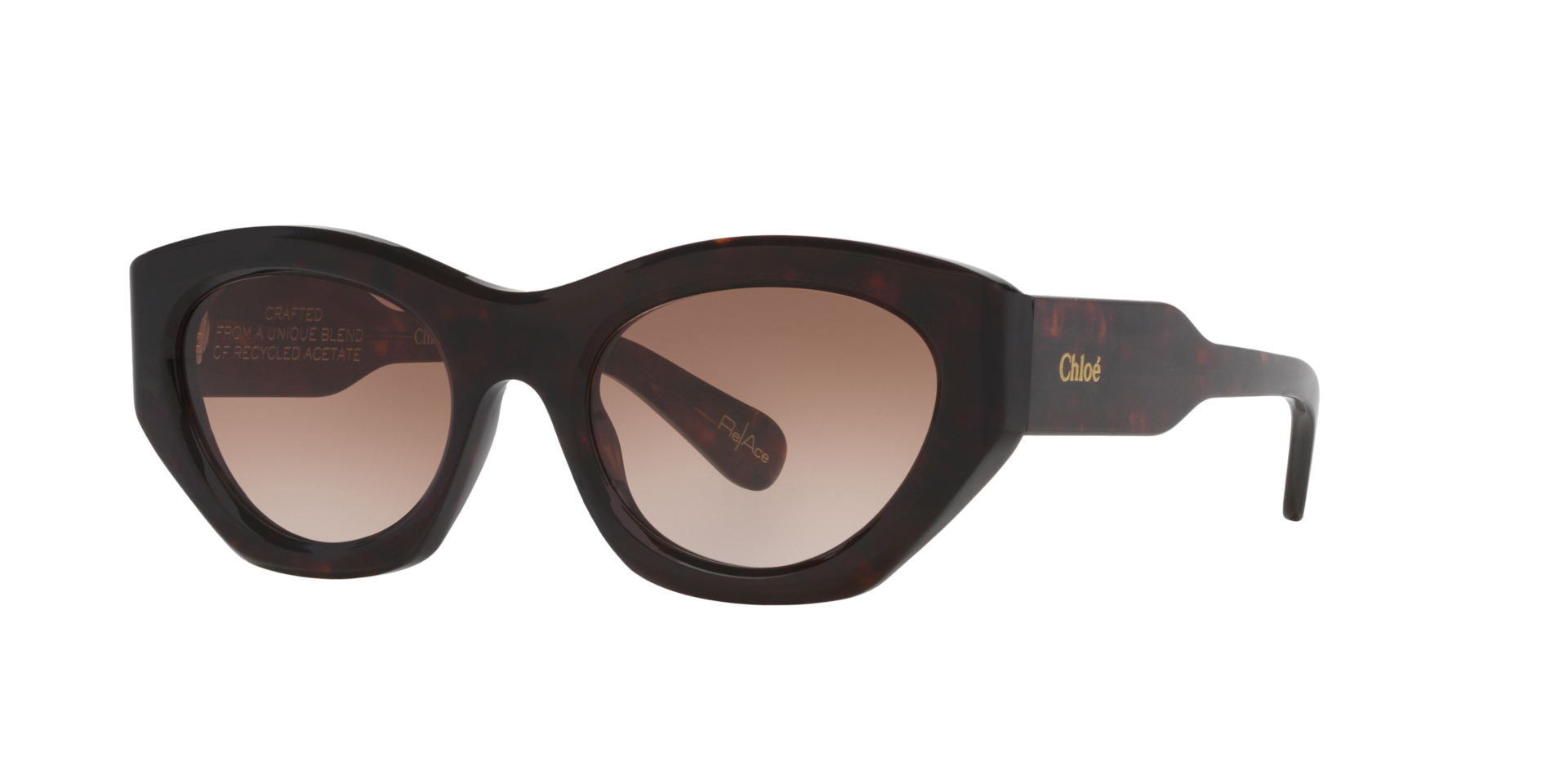 Chlo Femme Sunglass CH0220S - Couleur du Monture caille de tortue claire Couleur de Lentille Brun 252 €