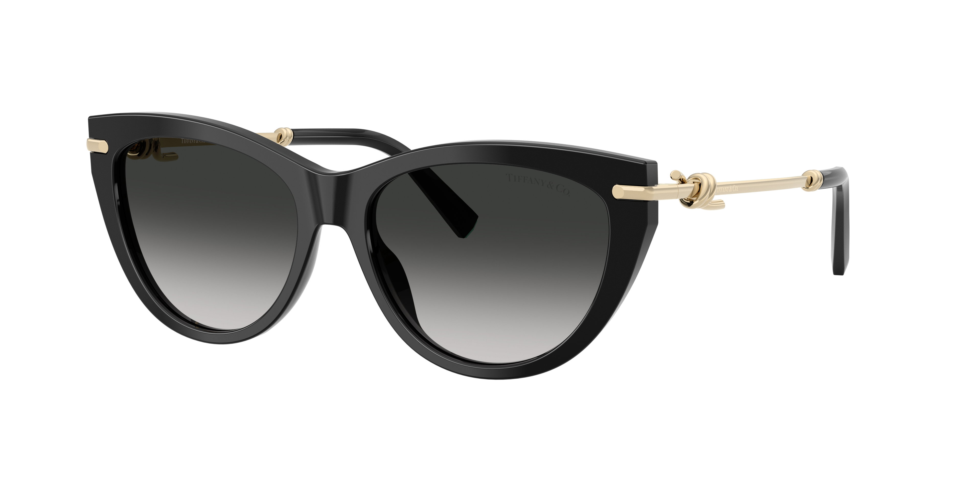 Tiffany & Co. TF4253F XL (55 - 16) with Grey lenses and Black
