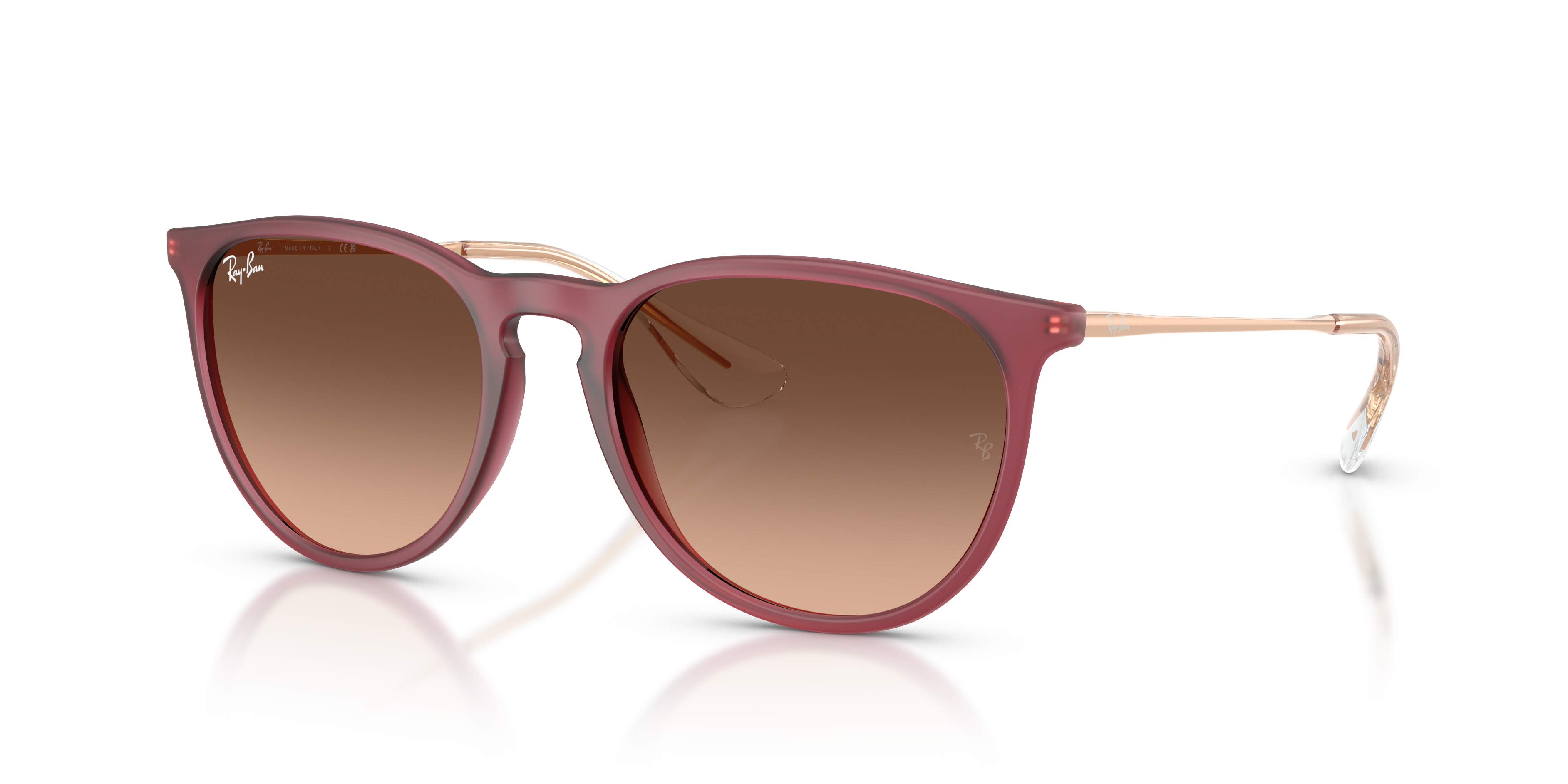 Ray-Ban Erika l サングラス Ray-Ban Erika Classic XL (57 - 18) with Pink lenses and Violet
