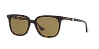 Gucci GG1493S M (54 - 18) with Grey lenses and Brown frame