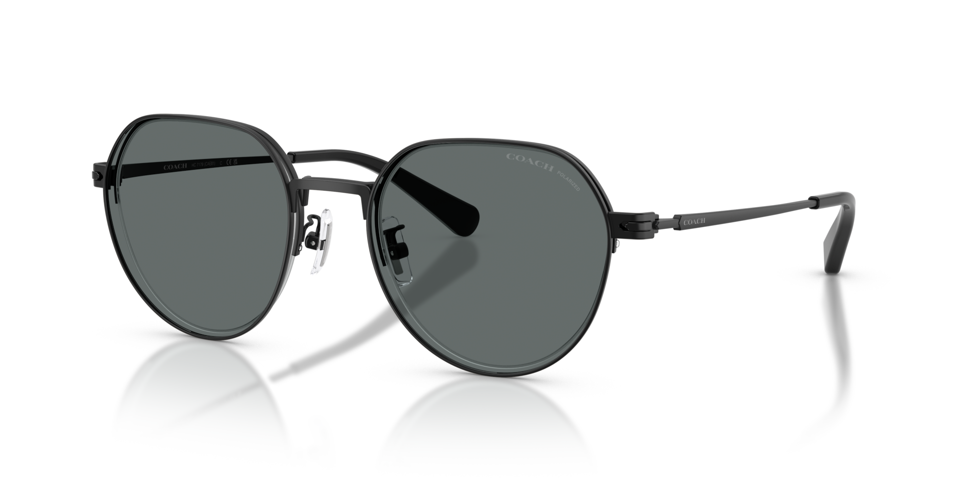 HC7179 CAE81