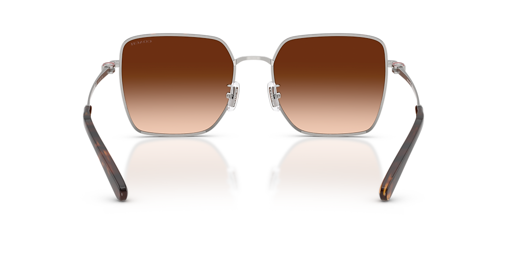 ASH Coach CBZ51 XXL (56 - 19) with Brown lenses and Silver frame