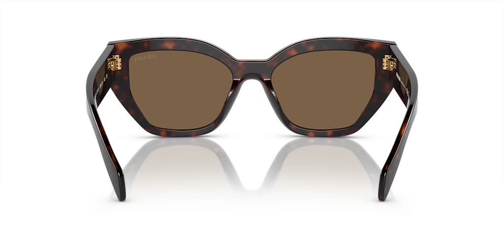 Prada PR A09S M (53 - 18) with Brown lenses and Brown frame