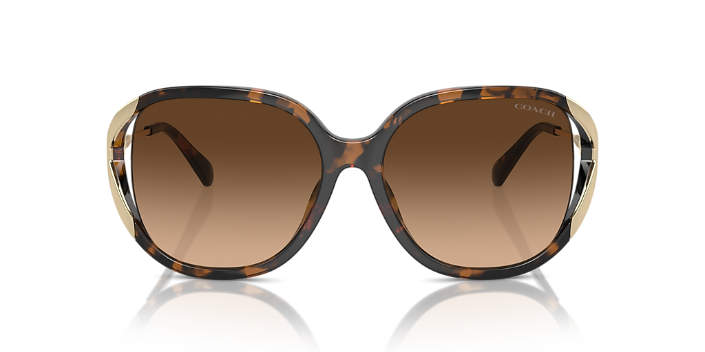 Coach CR620 XL (56 - 16) with Brown lenses and Tortoise frame