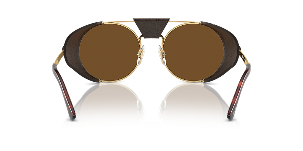 Persol PO2496SZ - Protector L (52 - 18) with Brown lenses and Gold