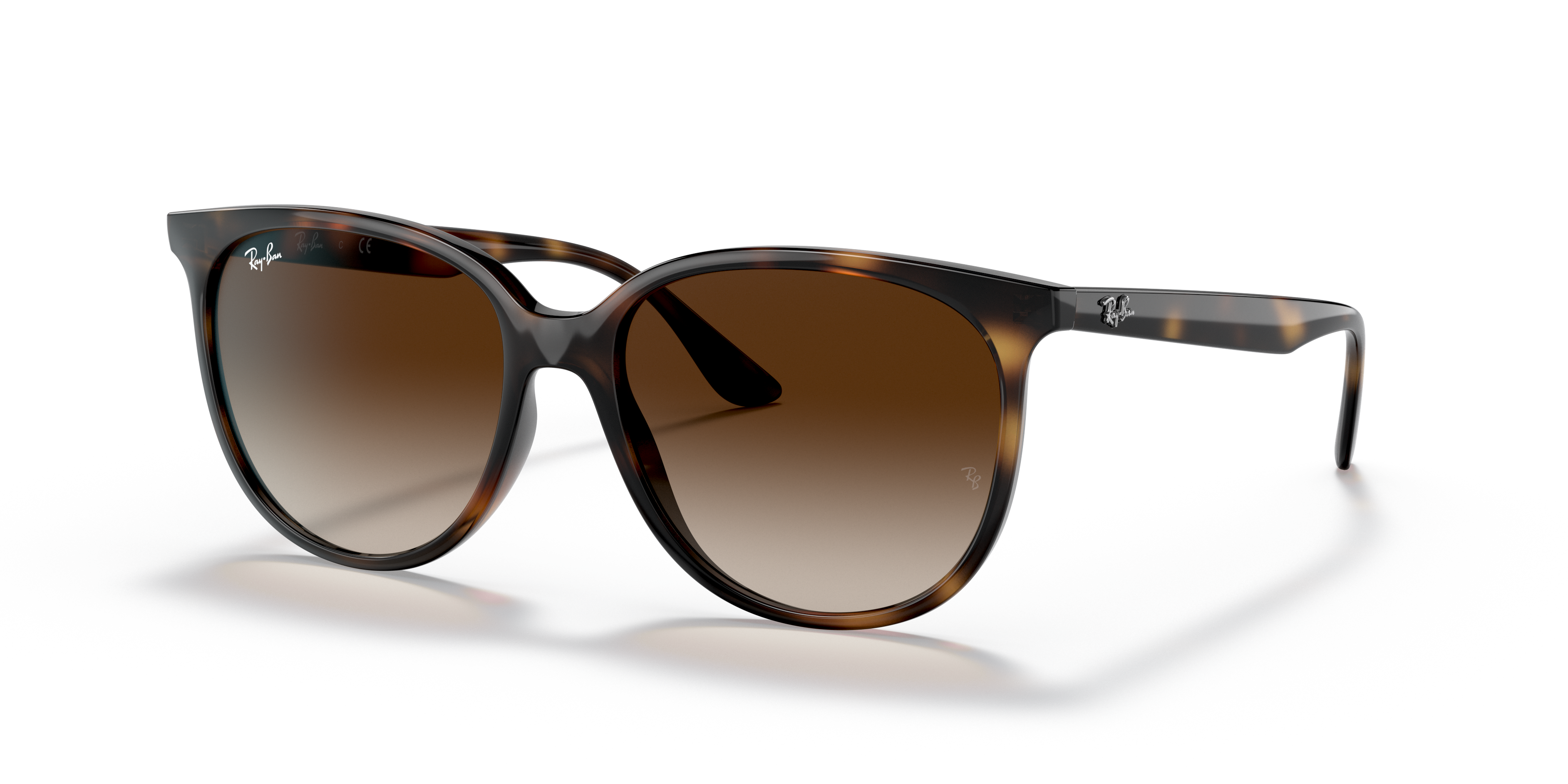 Ray-Ban RB4378 S (54 - 16) with Brown lenses and Tortoise frame