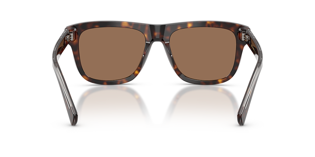 Dolce&Gabbana DG4545 L (55 - 18) with Brown lenses and Tortoise