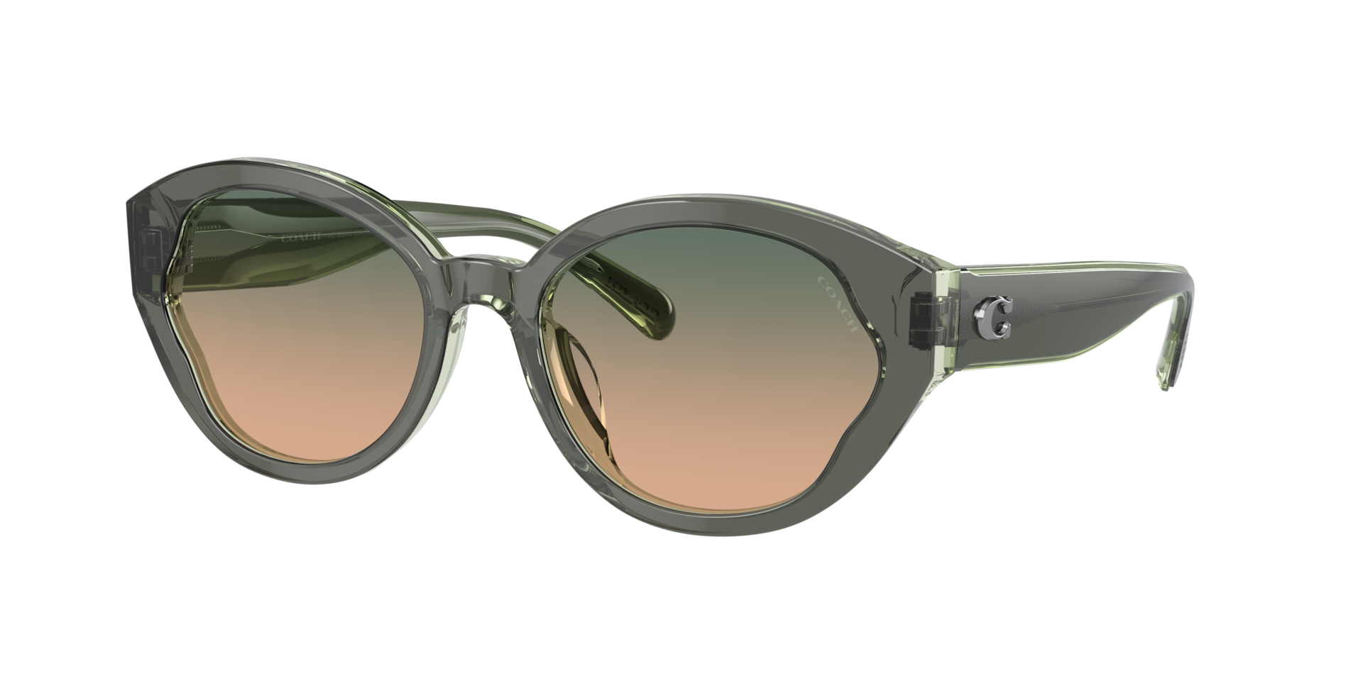 Coach Femme Sunglass CH569 - Couleur du Monture MossMint Couleur de Lentille Green Beige Gradient 74 €