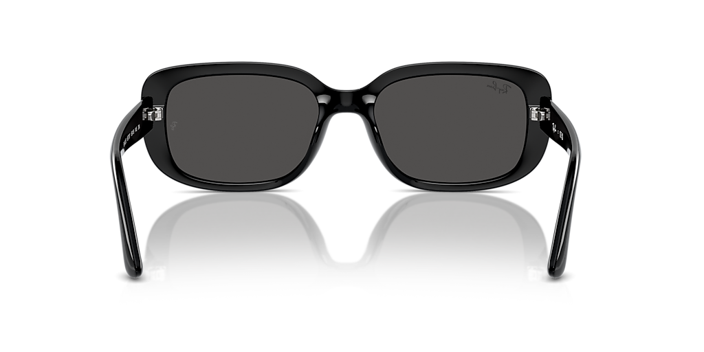 Ray-Ban RB4421D Bio-Based M (56 - 18) with Grey lenses and Black