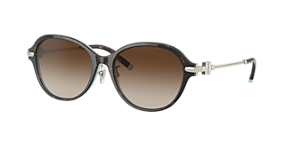 Tiffany & Co. TF4188D XL (55 - 17) with Brown lenses and Brown