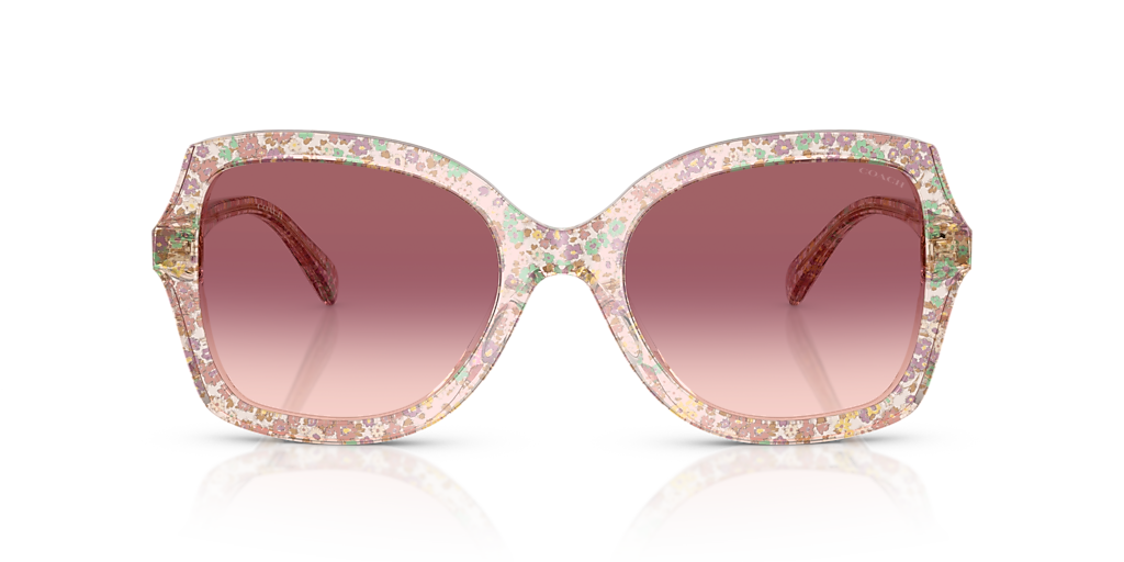 Coach CW225 XL (56 - 21) with Violet lenses and Multicolor frame