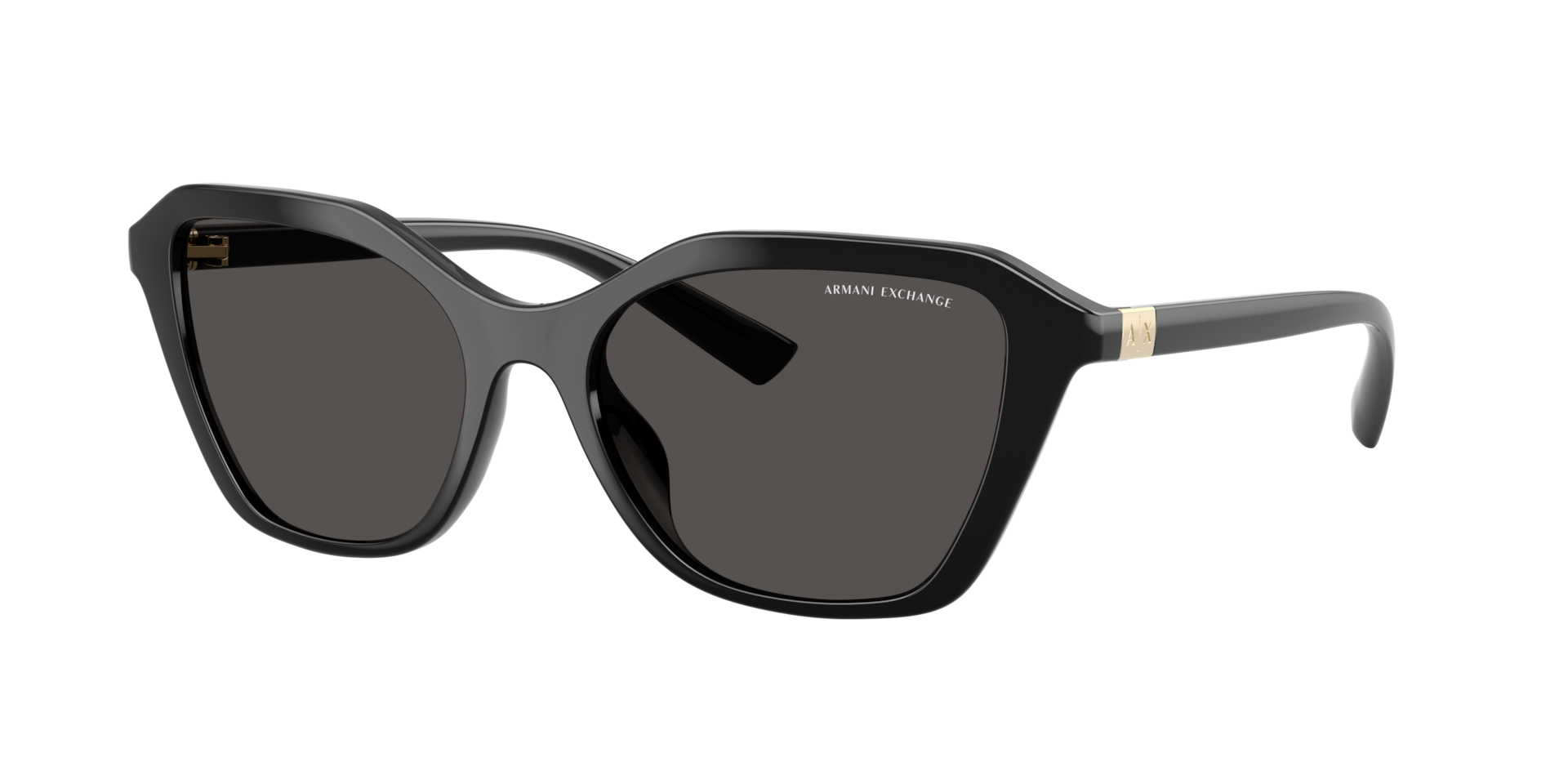 Armani Exchange Woman Sunglass AX4173SU -  Frame color: Shiny Black, Lens color: Dark Grey