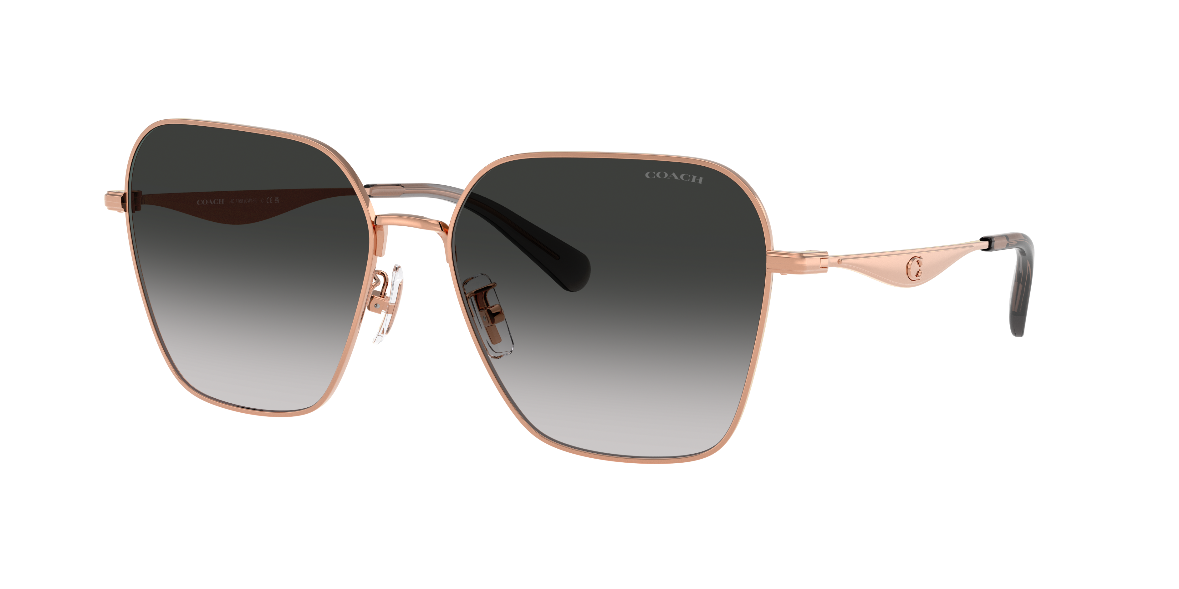 Coach CW189 XL (58 - 16) with Grey lenses and Gold frame