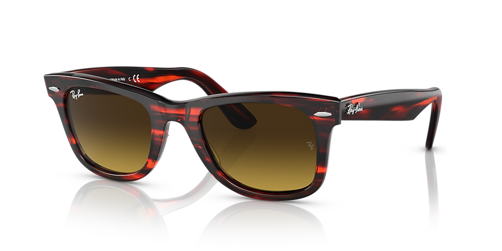 Ray-Ban Original Wayfarer Bio-Based L (50 - 22) with Brown lenses