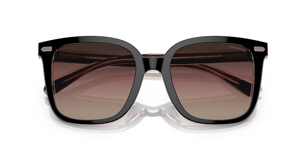 Coach CL918 L (54 - 20) with Violet lenses and Black frame