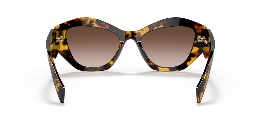 Prada PR 07YS M (53 - 19) with Brown lenses and Tortoise frame