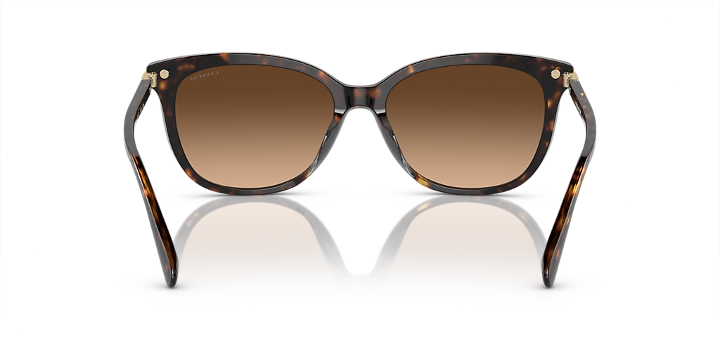 Coach CL926 XXL (57 - 17) with Brown lenses and Tortoise frame
