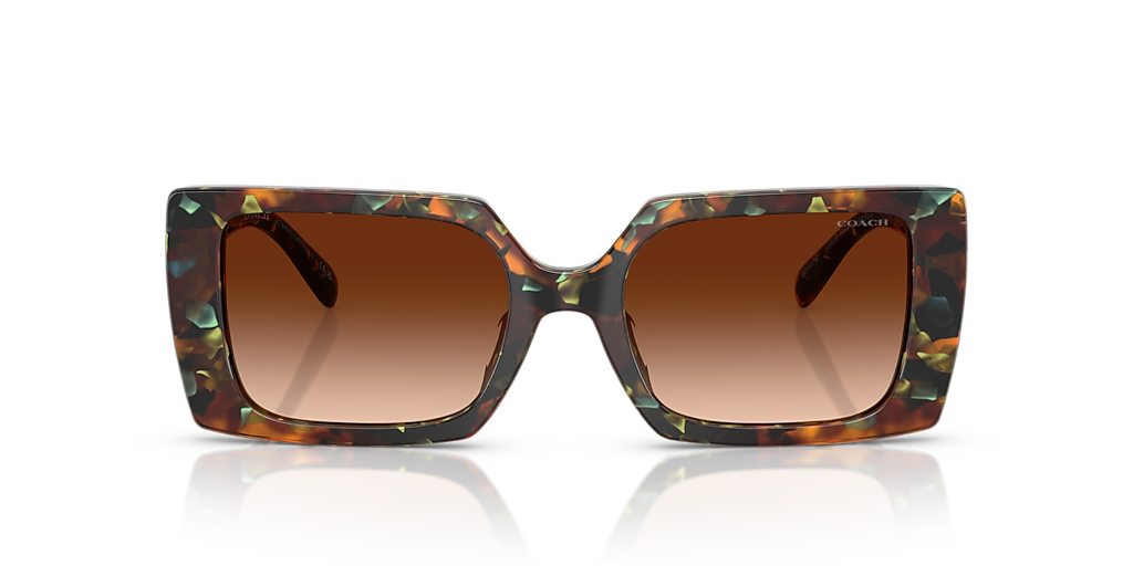 Coach CW224 M (53 - 19) with Brown lenses and Brown frame  display picture 1