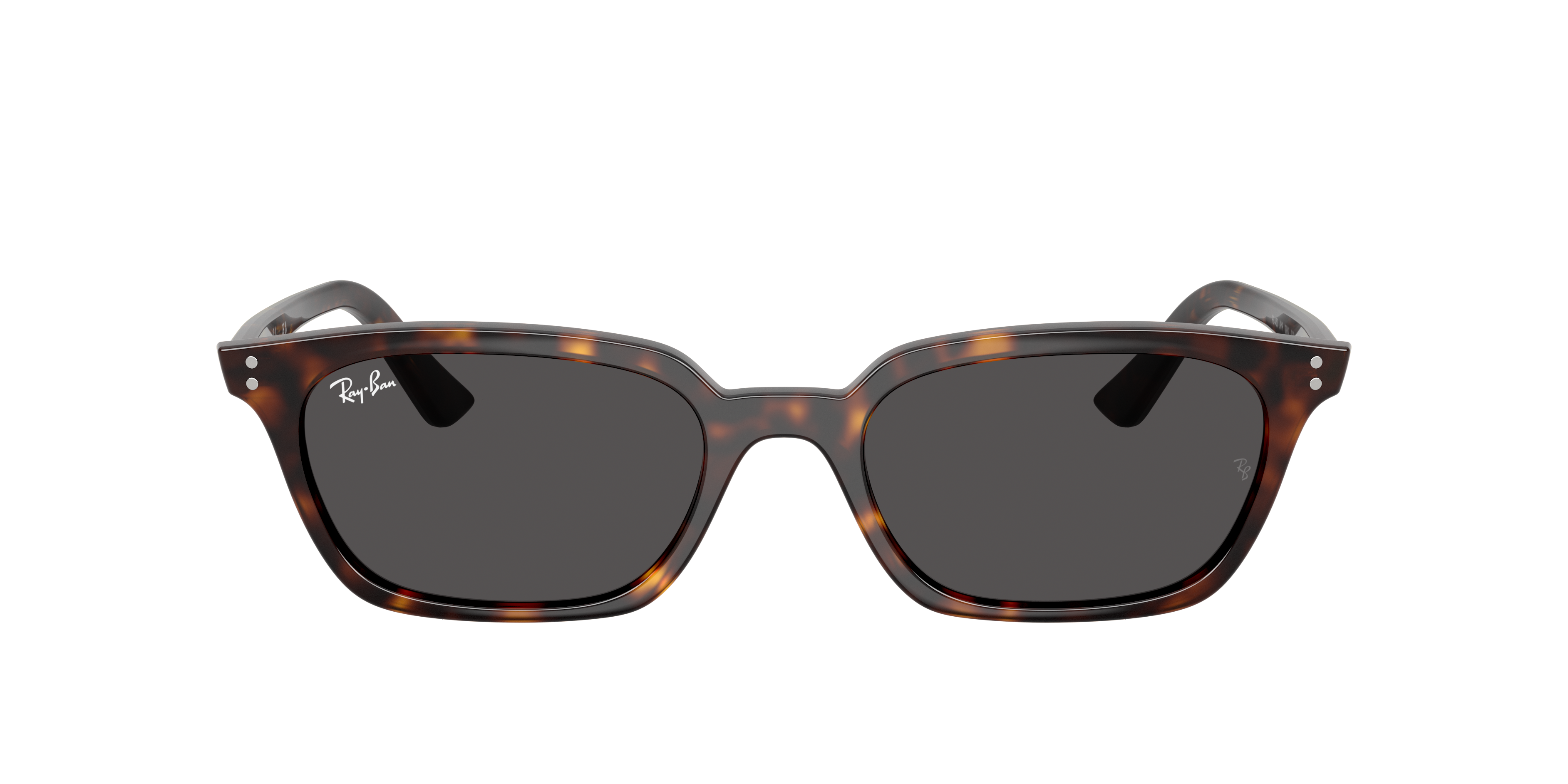 Ray-Ban Zaya Bio-Based M (53 - 19) with Grey lenses and Tortoise
