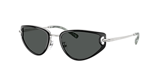 Tory Burch TY6113 XL (55 - 18) with Brown lenses and Gold frame