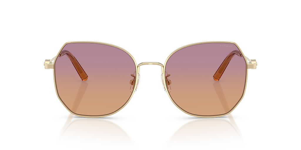 Coach CAD79 XL (56 - 18) with Red lenses and Gold frame | Sunglass