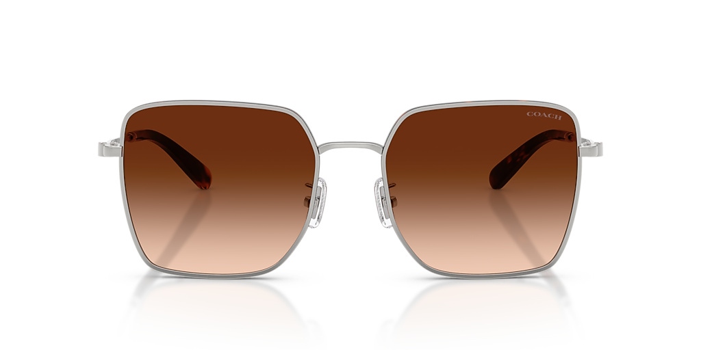 Coach CBZ51 XXL (56 - 19) with Brown lenses and Silver frame