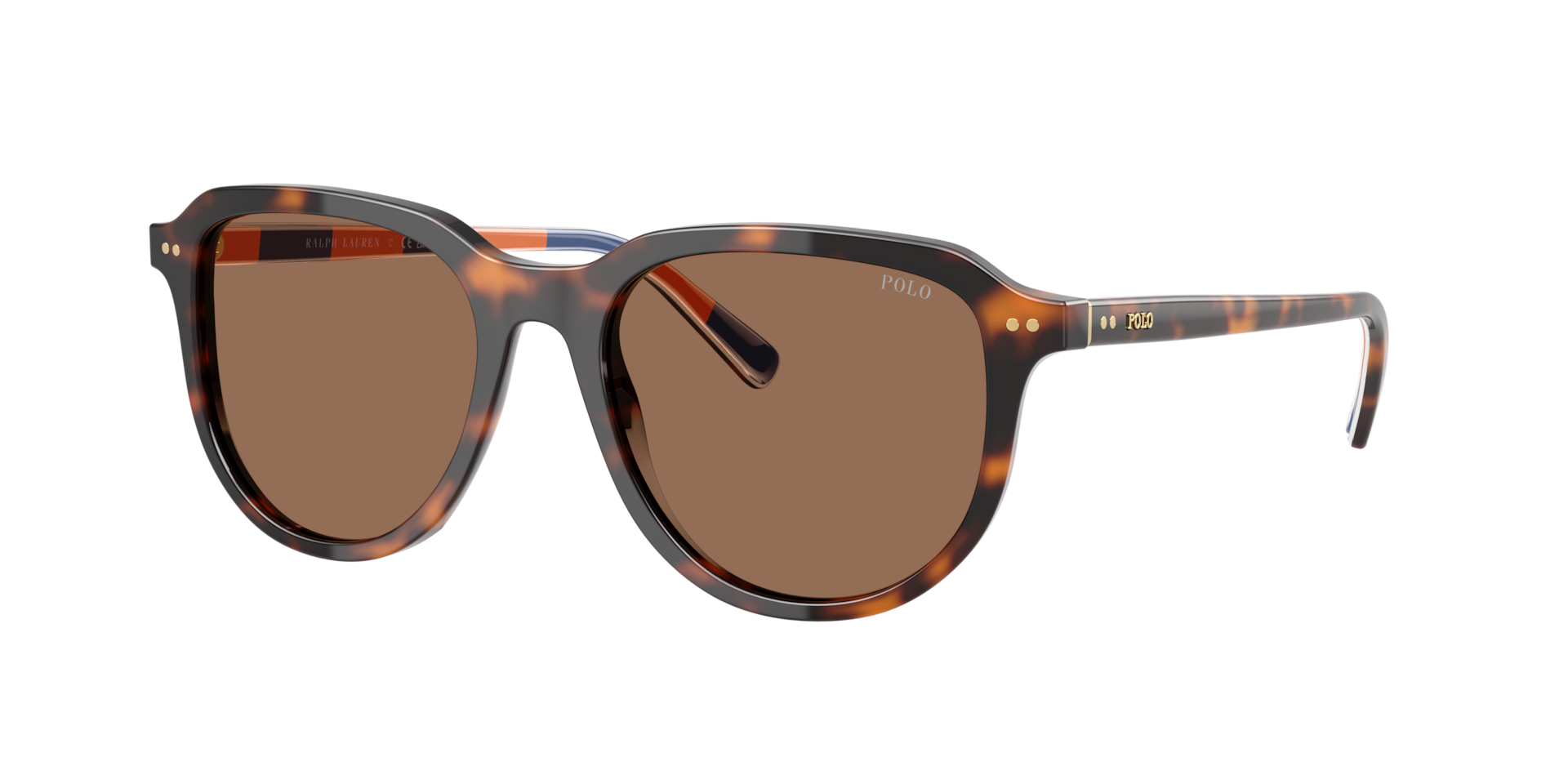 Polo Ralph Lauren Homme Sunglass PH4225 - Couleur du Monture: Havana foncé brillant, Couleur de Lentille: Marron foncé