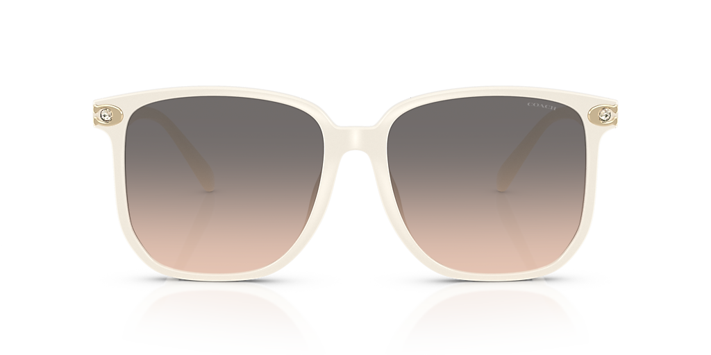 Coach CW419 XL (58 - 16) with Grey lenses and Beige frame
