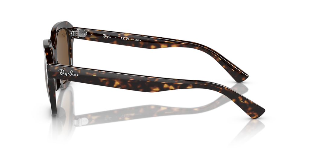 Rey Ray-Ban Erik XL (53 - 20) com Lentes Marrom e Armação Tartaruga