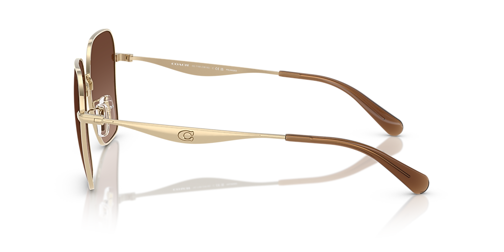 Coach CW189 XL (58 - 16) with Brown lenses and Gold frame