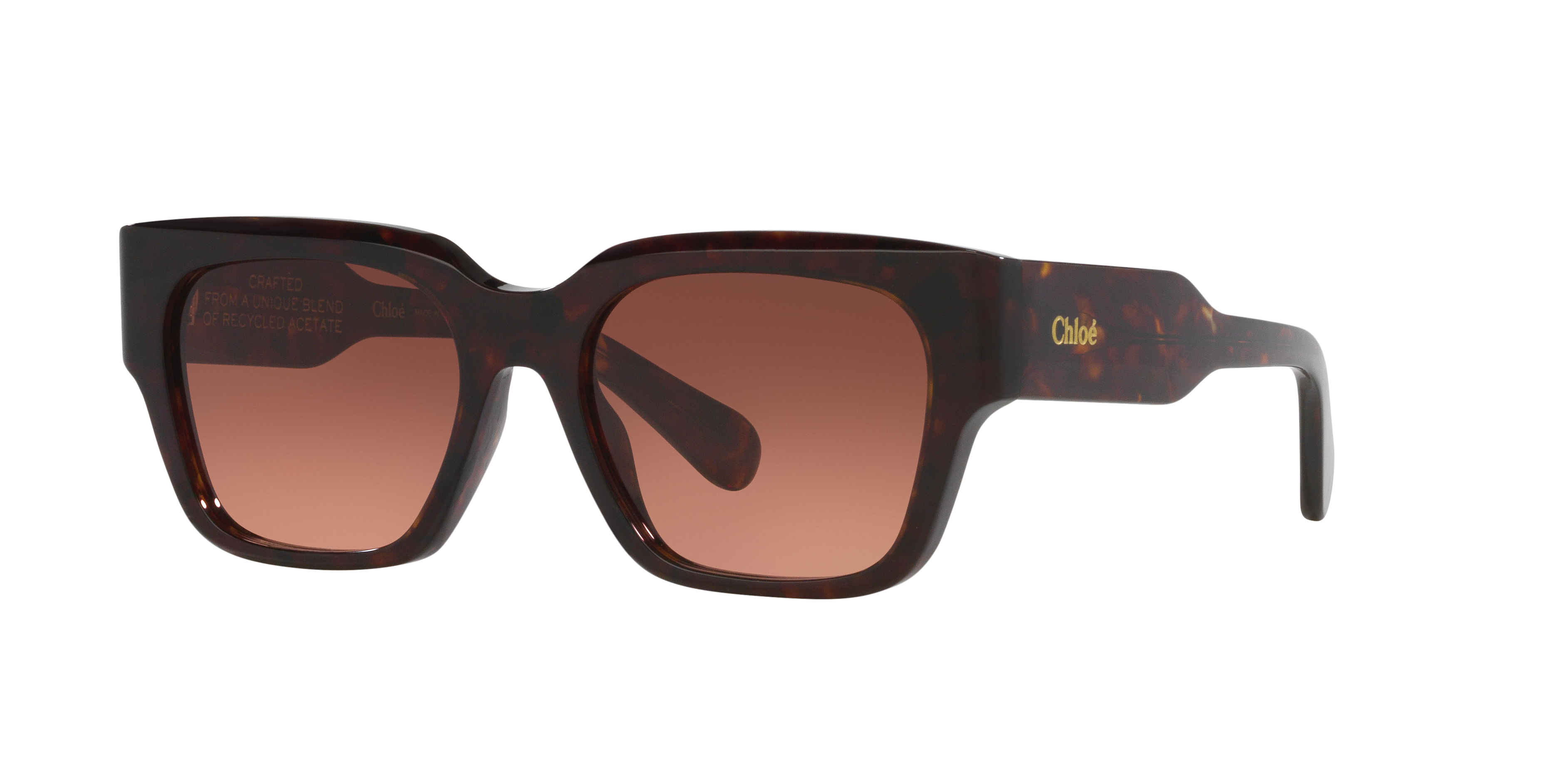 Chloé Woman Sunglass CH0190S -  Frame color: Tortoise, Lens color: Copper