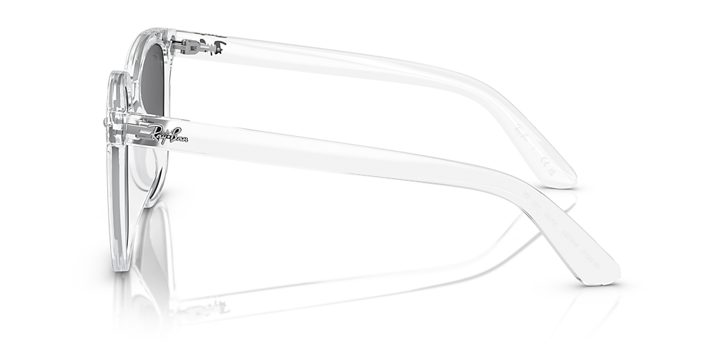 Ray-Ban RB4401D XXL (57 - 20) with Grey lenses and Transparent
