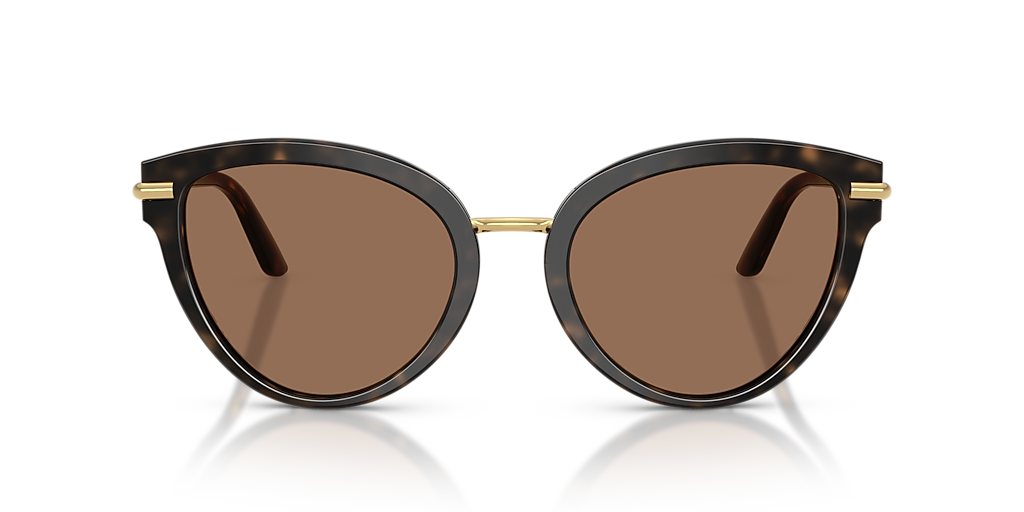 Dolce&Gabbana DG4492 XXL (55 - 21) with Brown lenses and Tortoise
