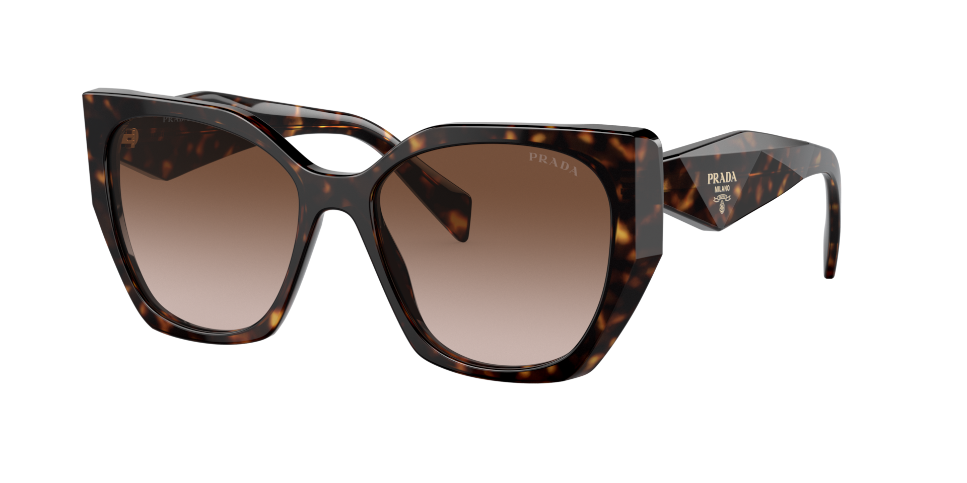 Prada PR 19ZS M (55 - 17) with Brown lenses and Tortoise frame