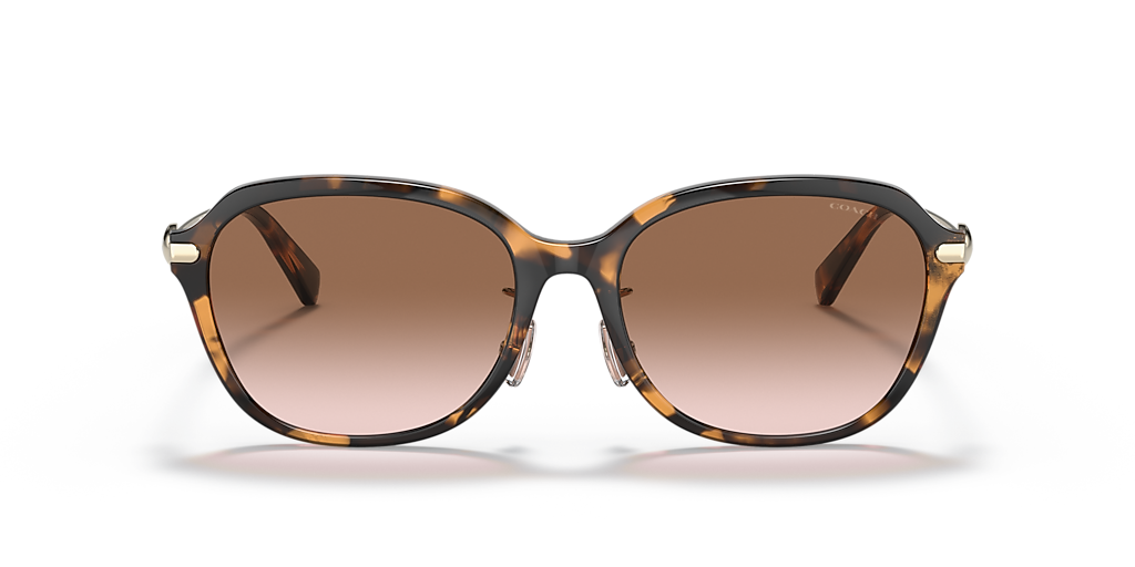 Coach C6199 XL (56 - 17) with Brown lenses and Tortoise frame
