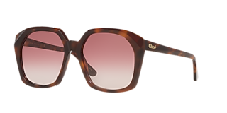 Chloé CH0226S M (53 - 22) with Violet lenses and Violet frame