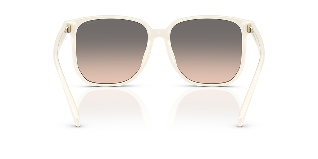 Coach CW419 XL (58 - 16) with Grey lenses and Beige frame