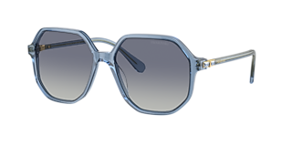 Swarovski SK7005 XL (61 - 15) with Brown lenses and Gold frame