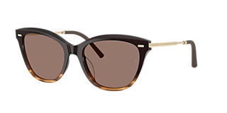 Oliver Peoples OV5449SU Lynes Sun L (55 - 18) with Brown lenses