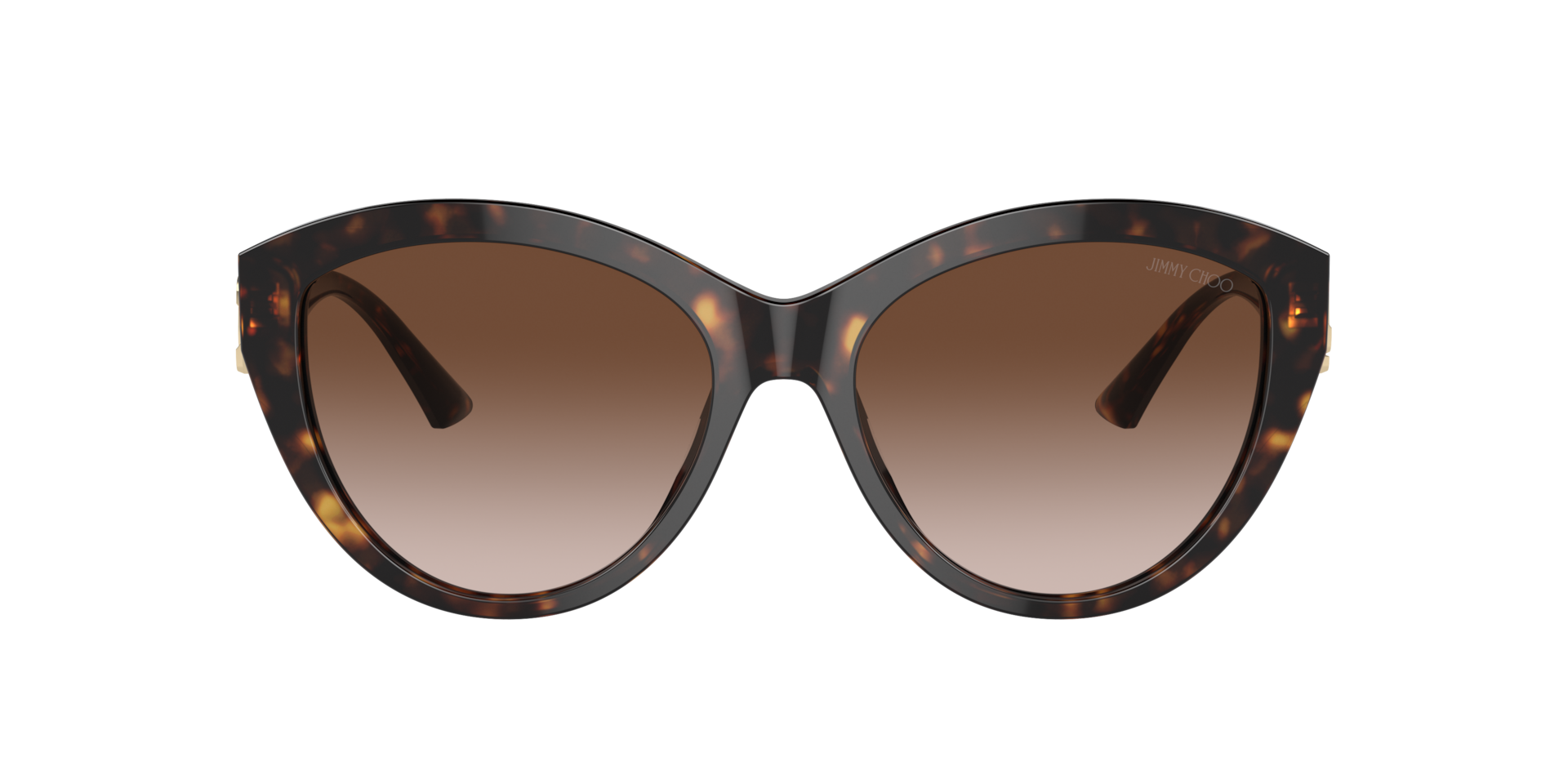Jimmy Choo JC5007F