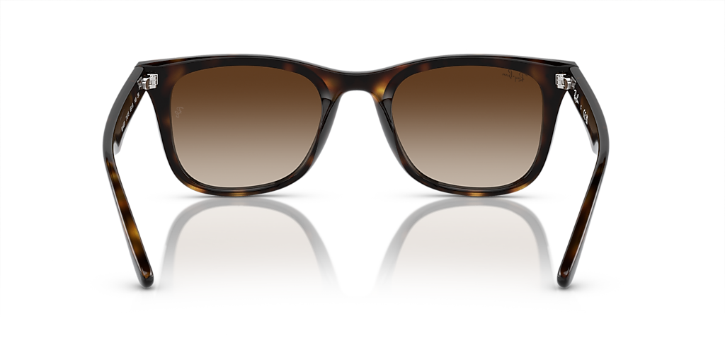 Ray-Ban RB4420 XL (65 - 18) with Brown lenses and Tortoise frame