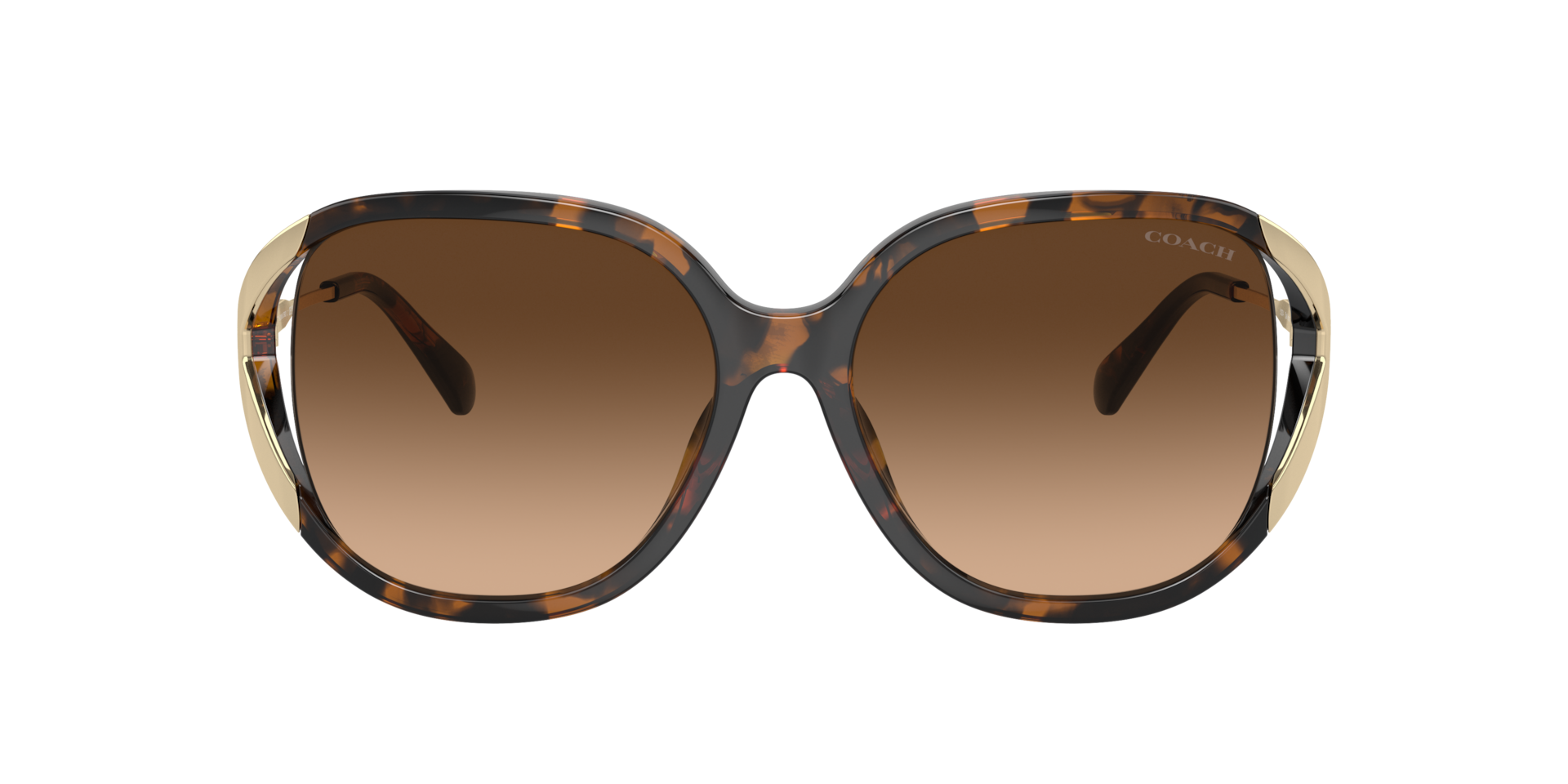 Coach CR620 XL (56 - 16) with Brown lenses and Tortoise frame