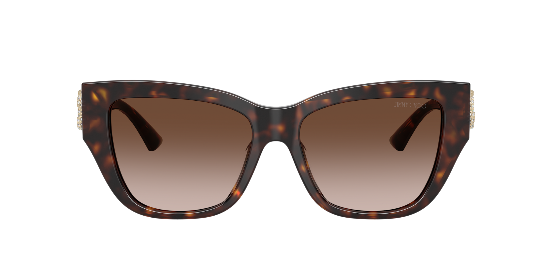Jimmy Choo JC5039BU L (54 - 16) with Brown lenses and Tortoise