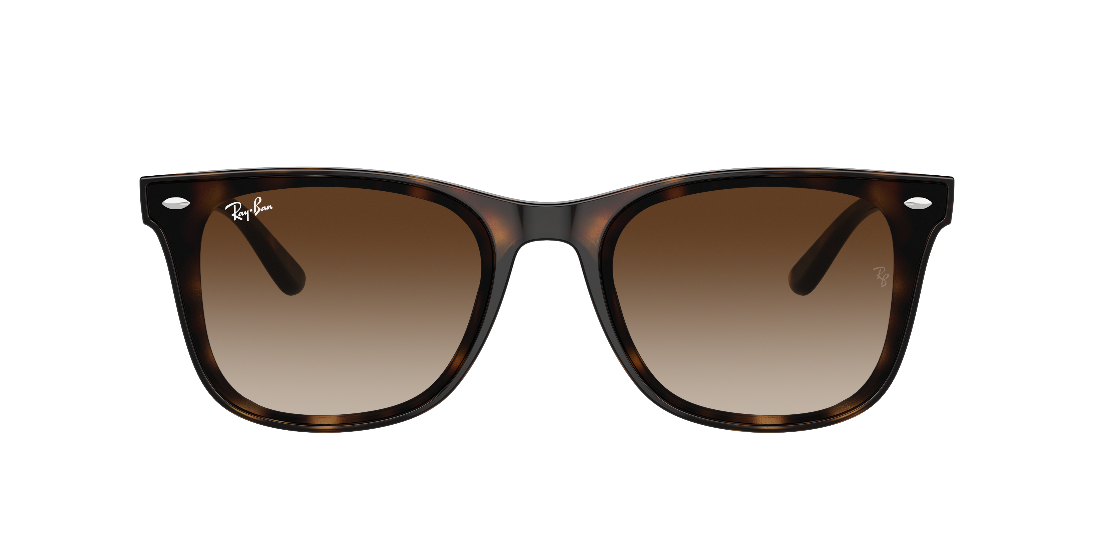 Ray-Ban RB4420 XL (65 - 18) with Brown lenses and Tortoise frame