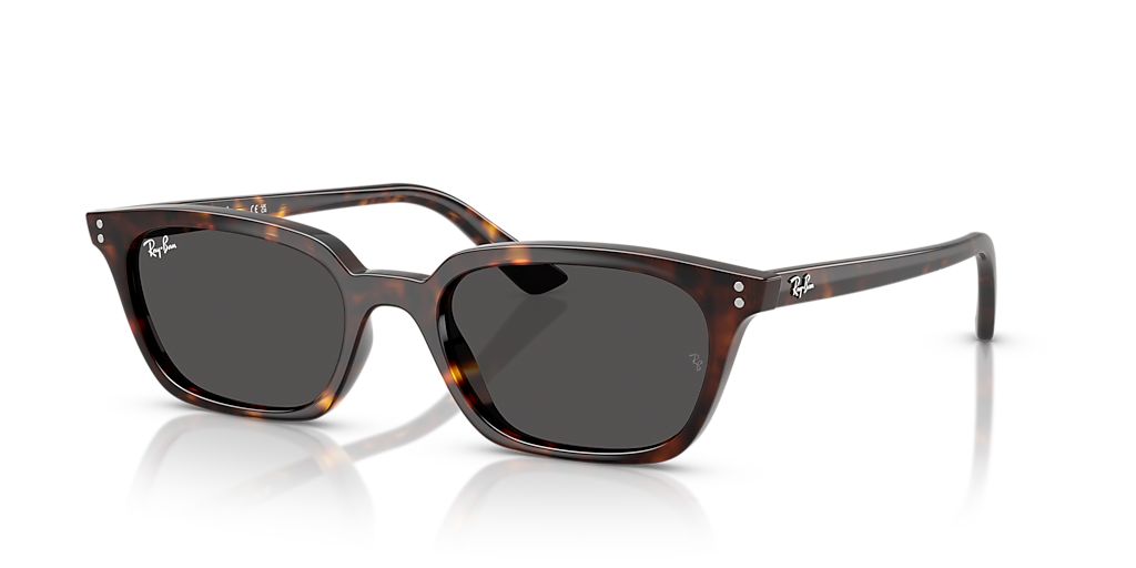 Ray-Ban Zaya Bio-Based XXS (50 - 19) with Grey lenses and Tortoise