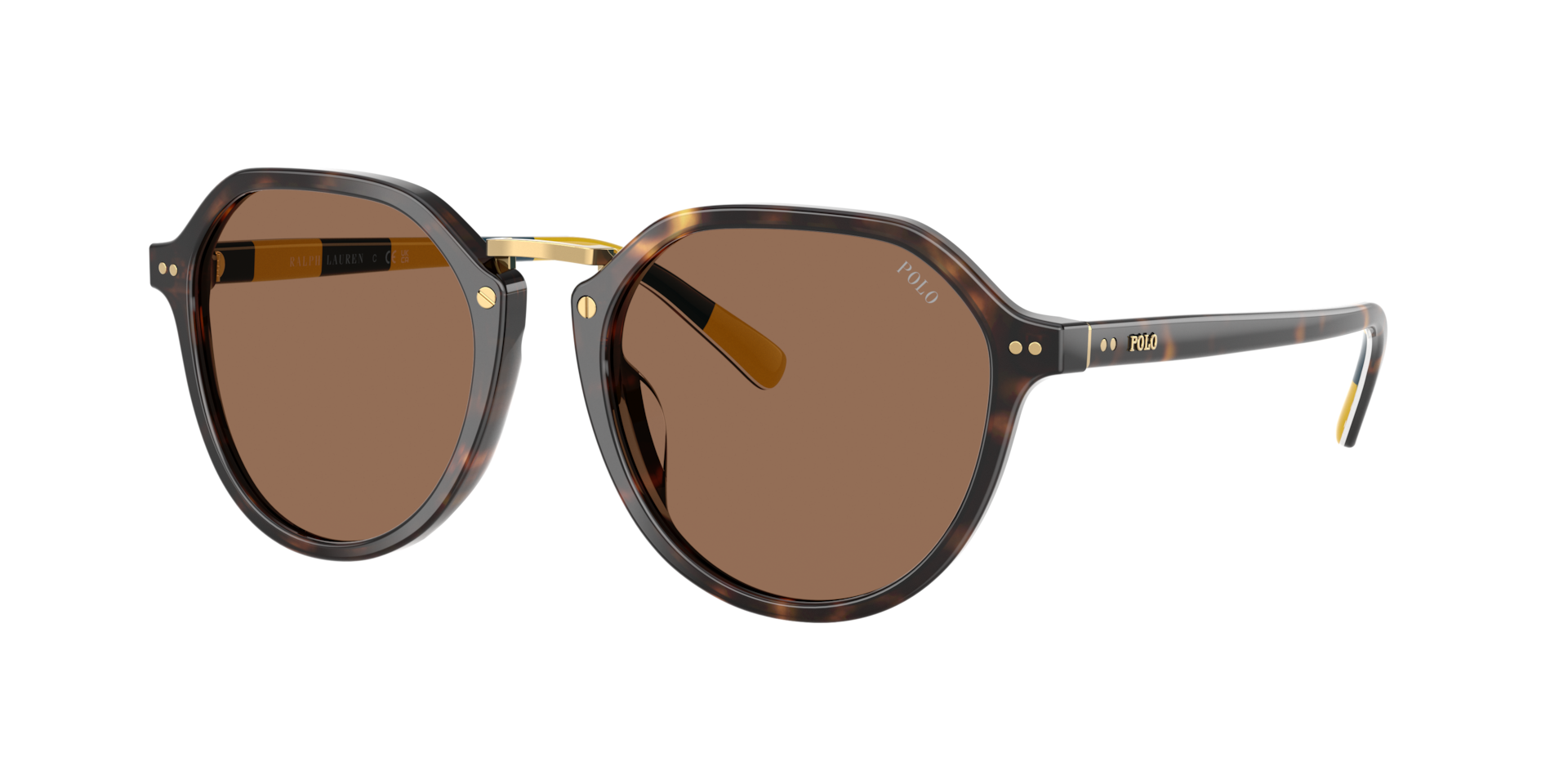 Polo Ralph Lauren Homme Sunglass PH4223U - Couleur du Monture: Havana foncé brillant, Couleur de Lentille: Marron foncé