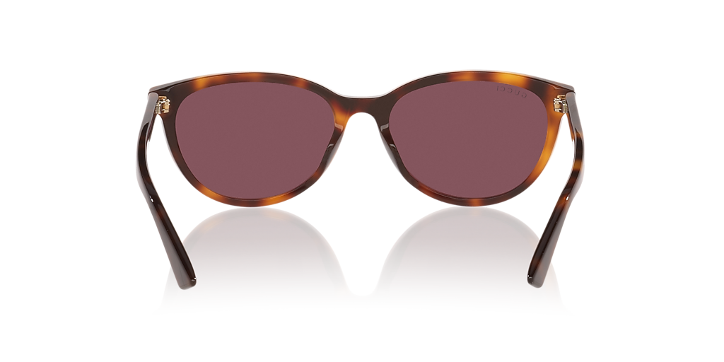 Gucci GG1818SK M (56 - 17) with Violet lenses and Tortoise frame