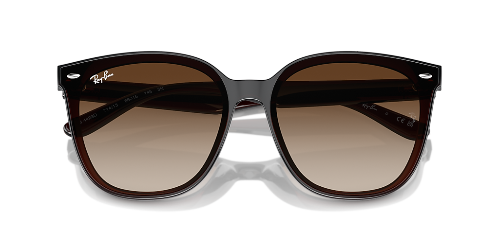 Ray-Ban RB4423D XL (66 - 15) with Brown lenses and Brown frame